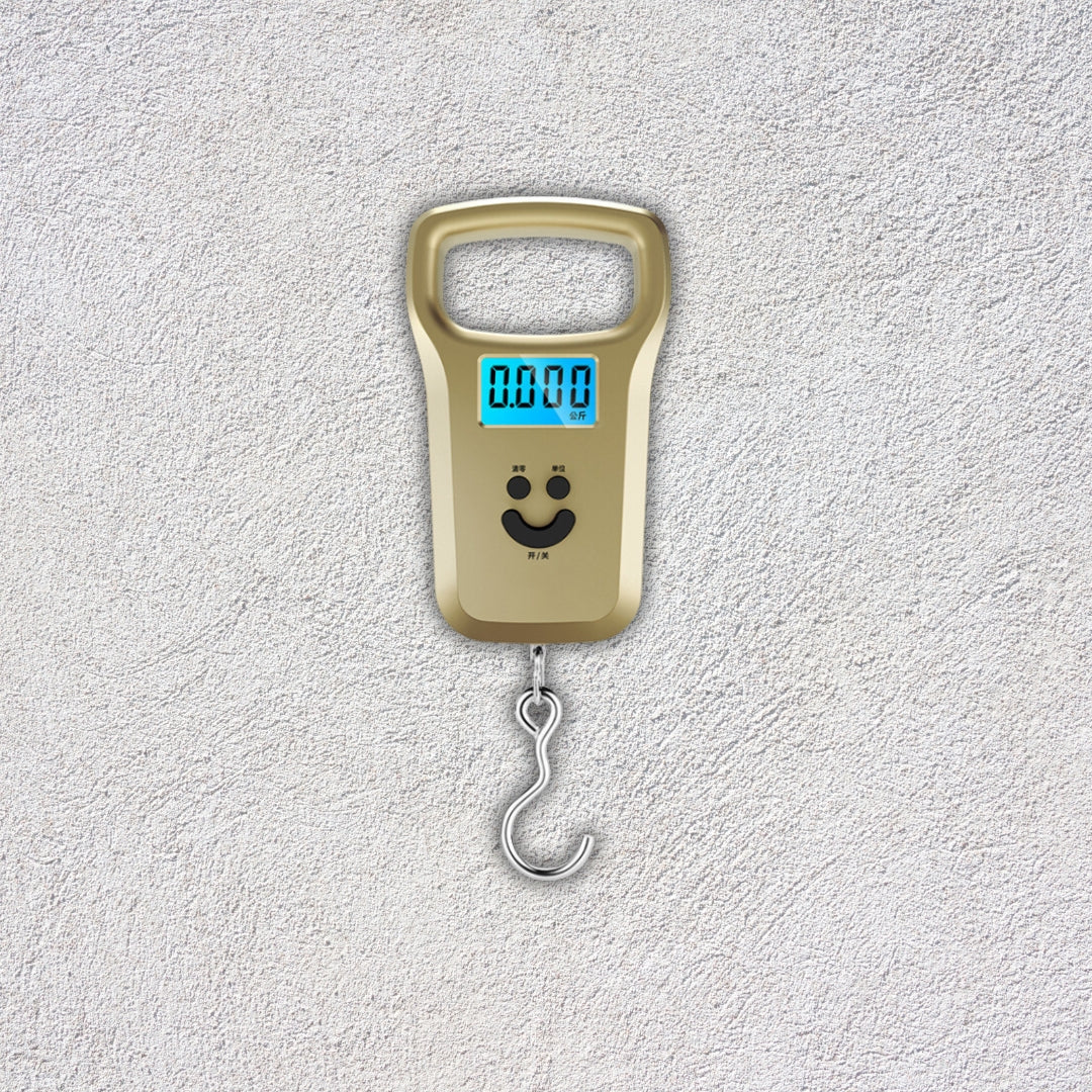 Portable Mini Electronic Digital LCD 50kg Weight Scale