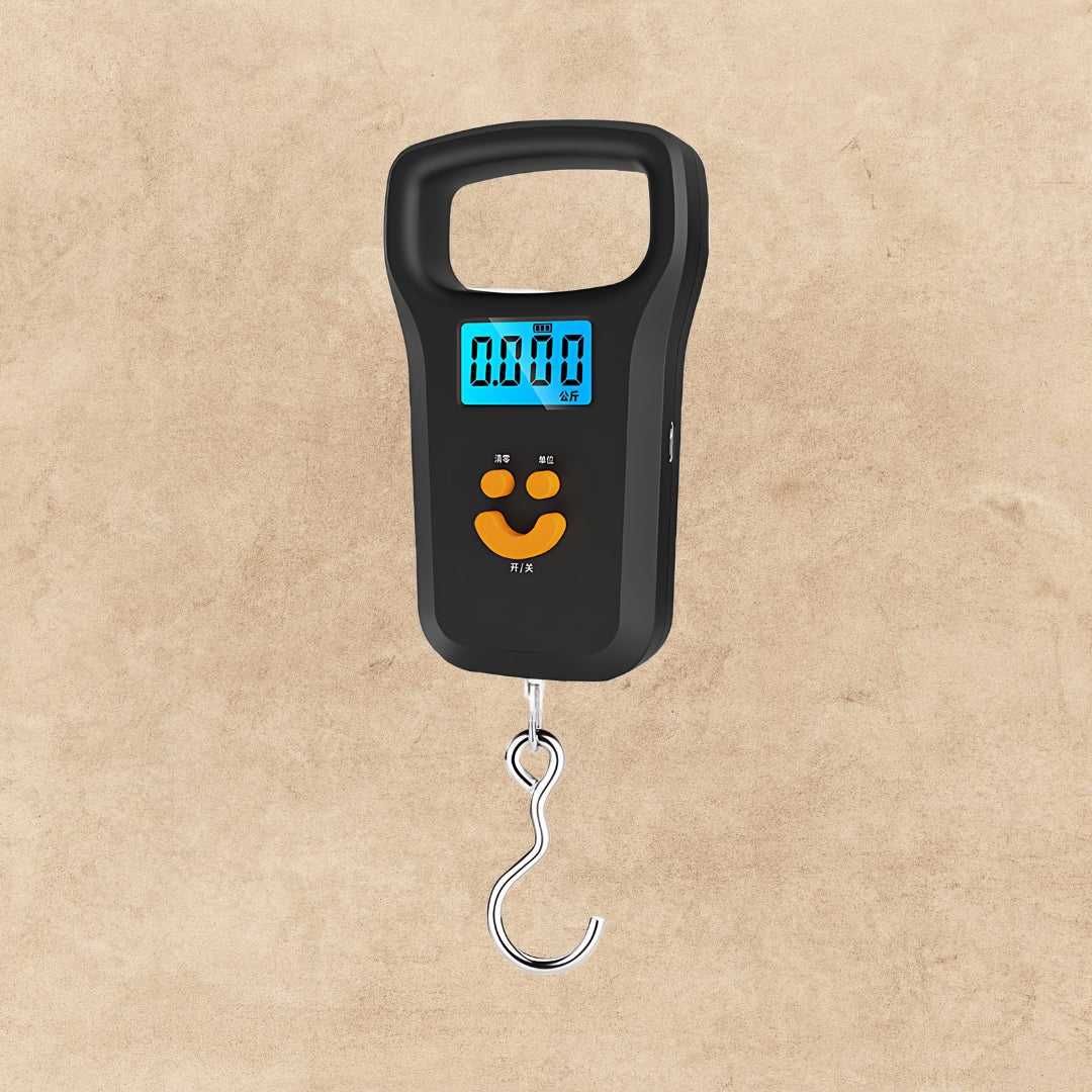 Portable Mini Electronic Digital LCD 50kg Weight Scale